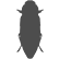 Woodboring Beetle Icon