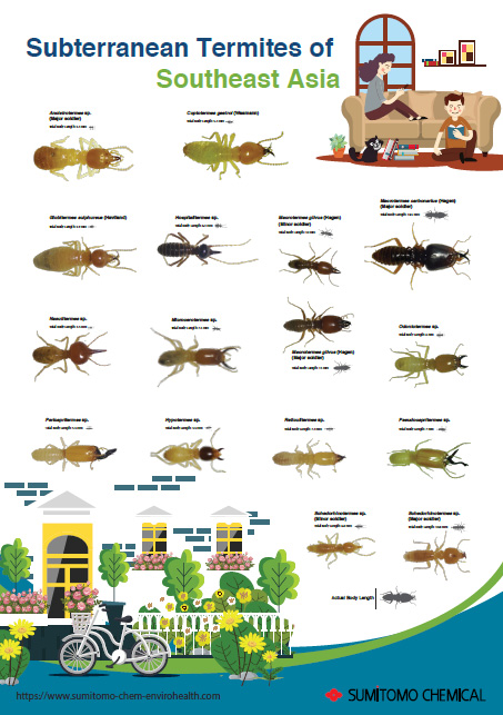 Posters - Sumitomo Chemical - Environmental Health Division